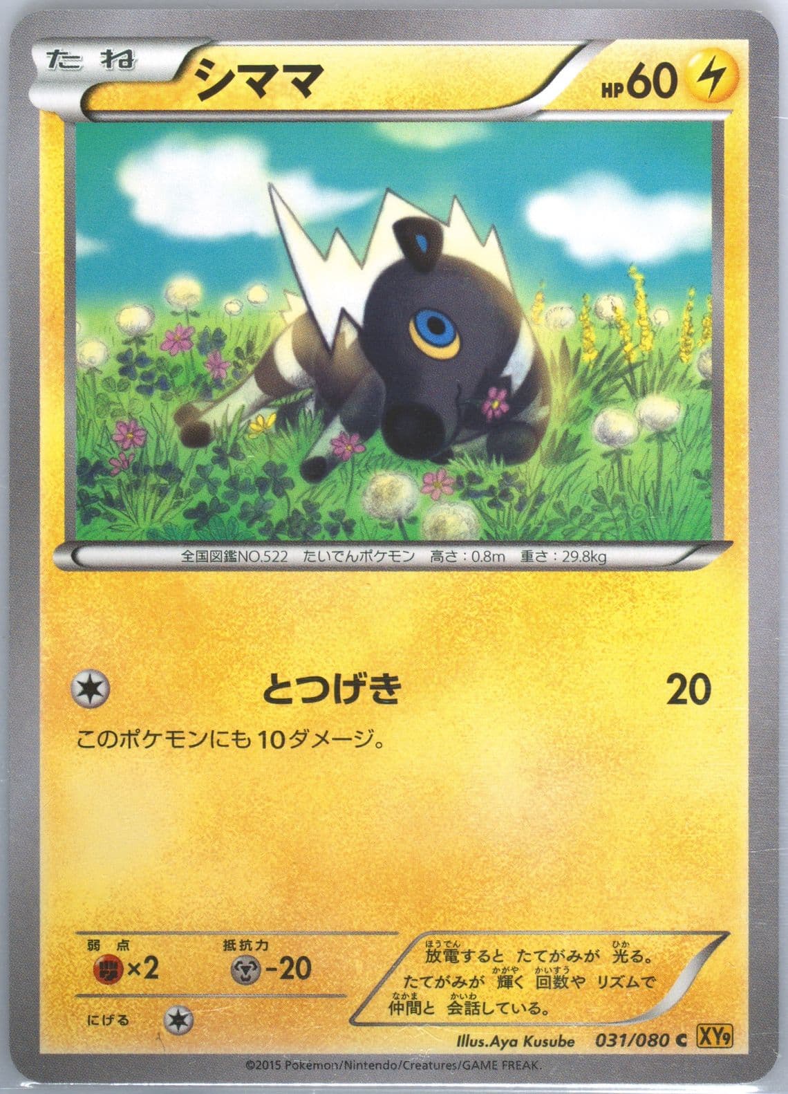 Blitzle (031) 2015 Pokemon Japanese XY Rage of the Broken Heavens