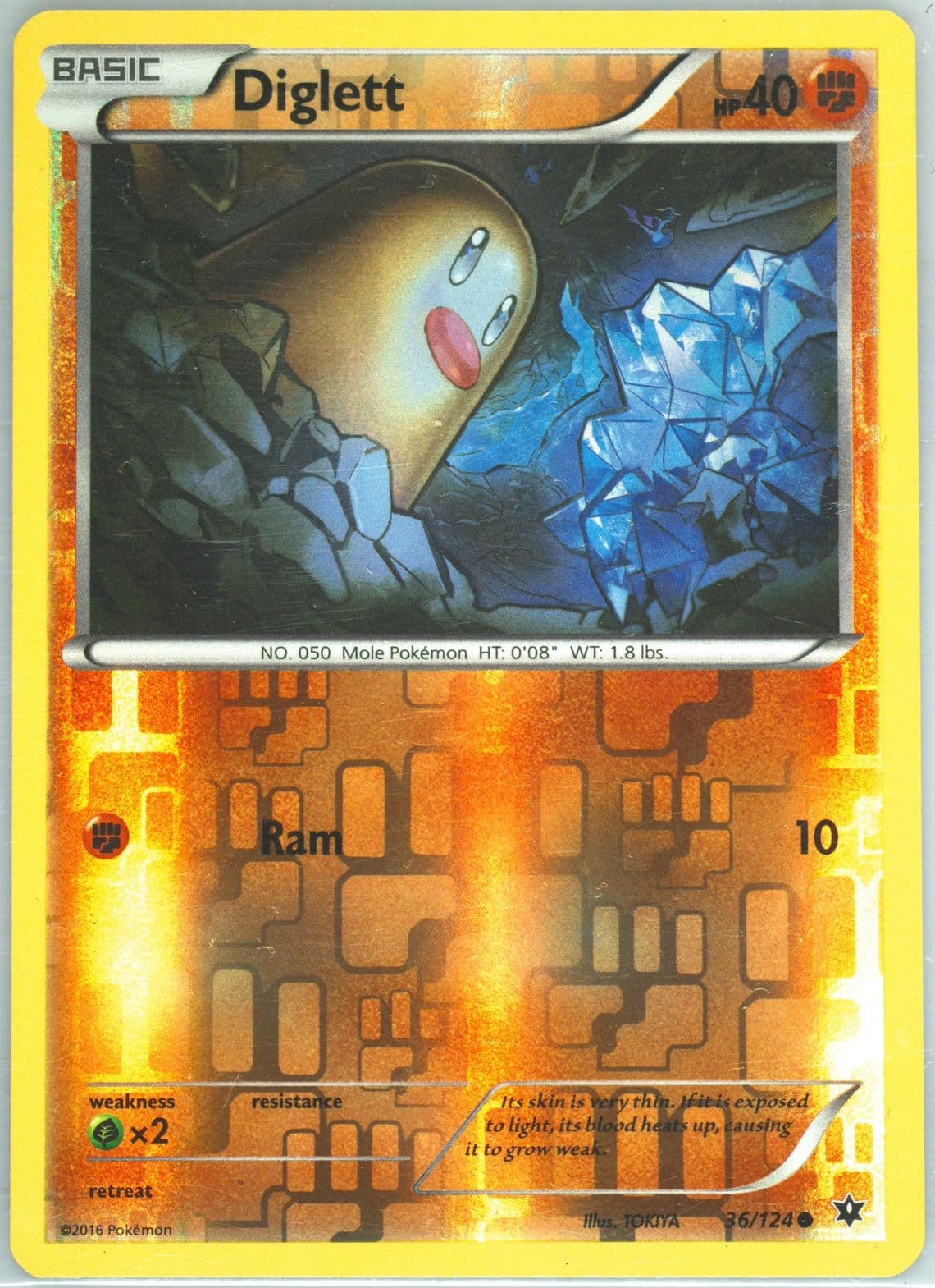 Diglett-Reverse Foil (36) 2016 Pokemon XY Fates Collide