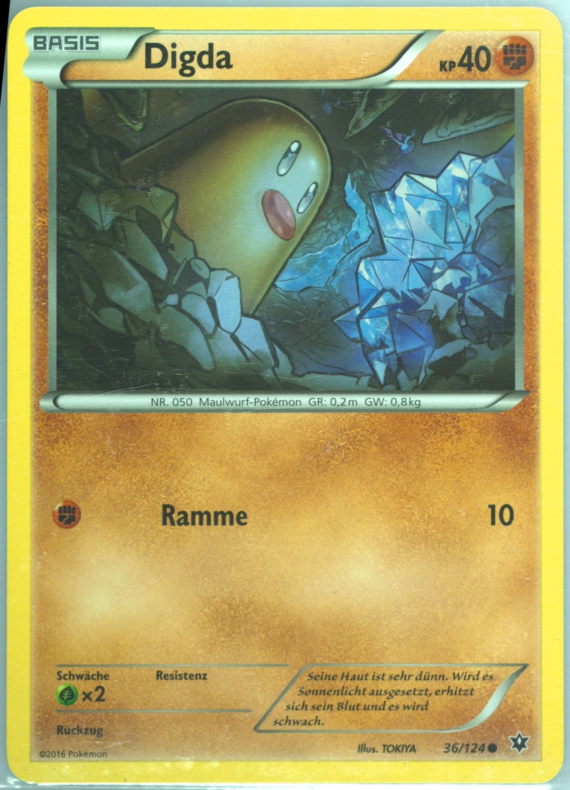 Digda German (36) 2016 Pokemon XY Fates Collide