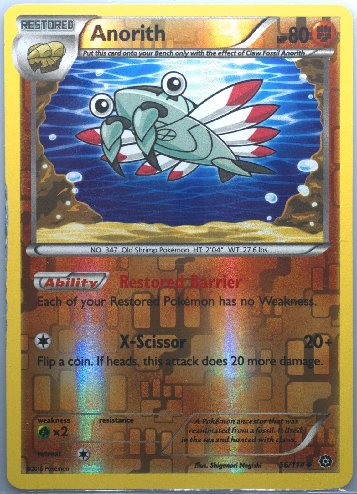 Anorith-Reverse Foil (56) 2016 Pokemon XY Steam Siege