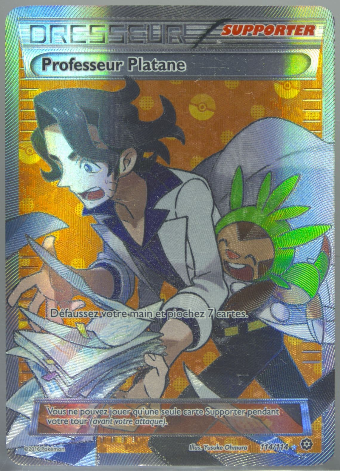 Full Art/Professeur Platane French (114) 2016 Pokemon XY Steam Siege