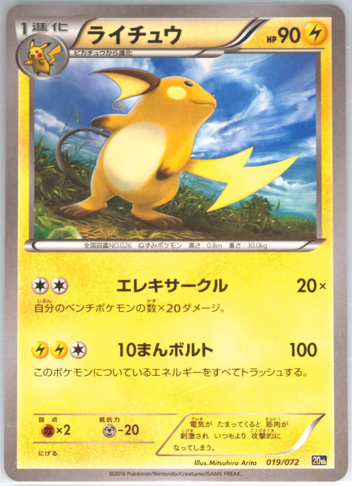 Raichu (019) 2016 Pokemon Japanese XY Starter Pack