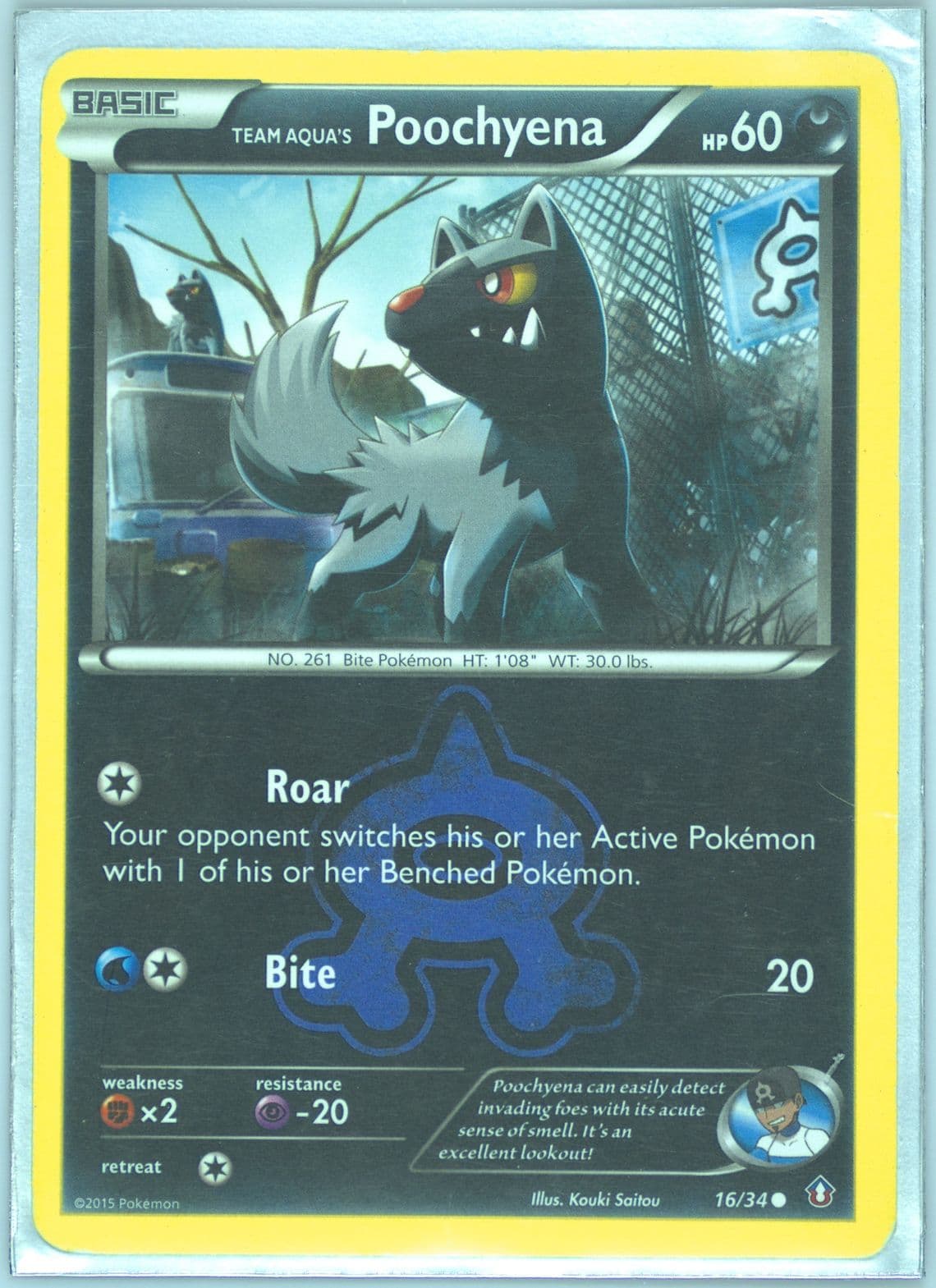 Team Aqua's Poochyena (16) 2015 Pokemon XY Double Crisis