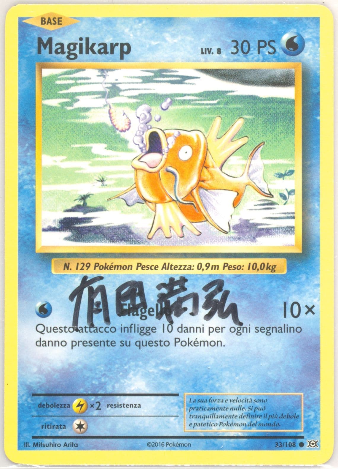 Magikarp Italian (33) 2016 Pokemon XY Evolutions
