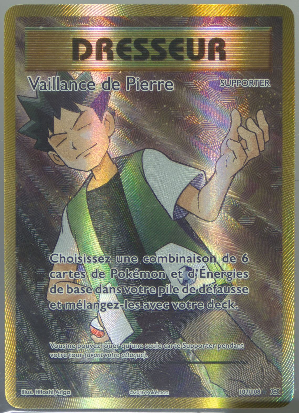 Full Art/Vaillance de Pierre French (107) 2016 Pokemon XY Evolutions