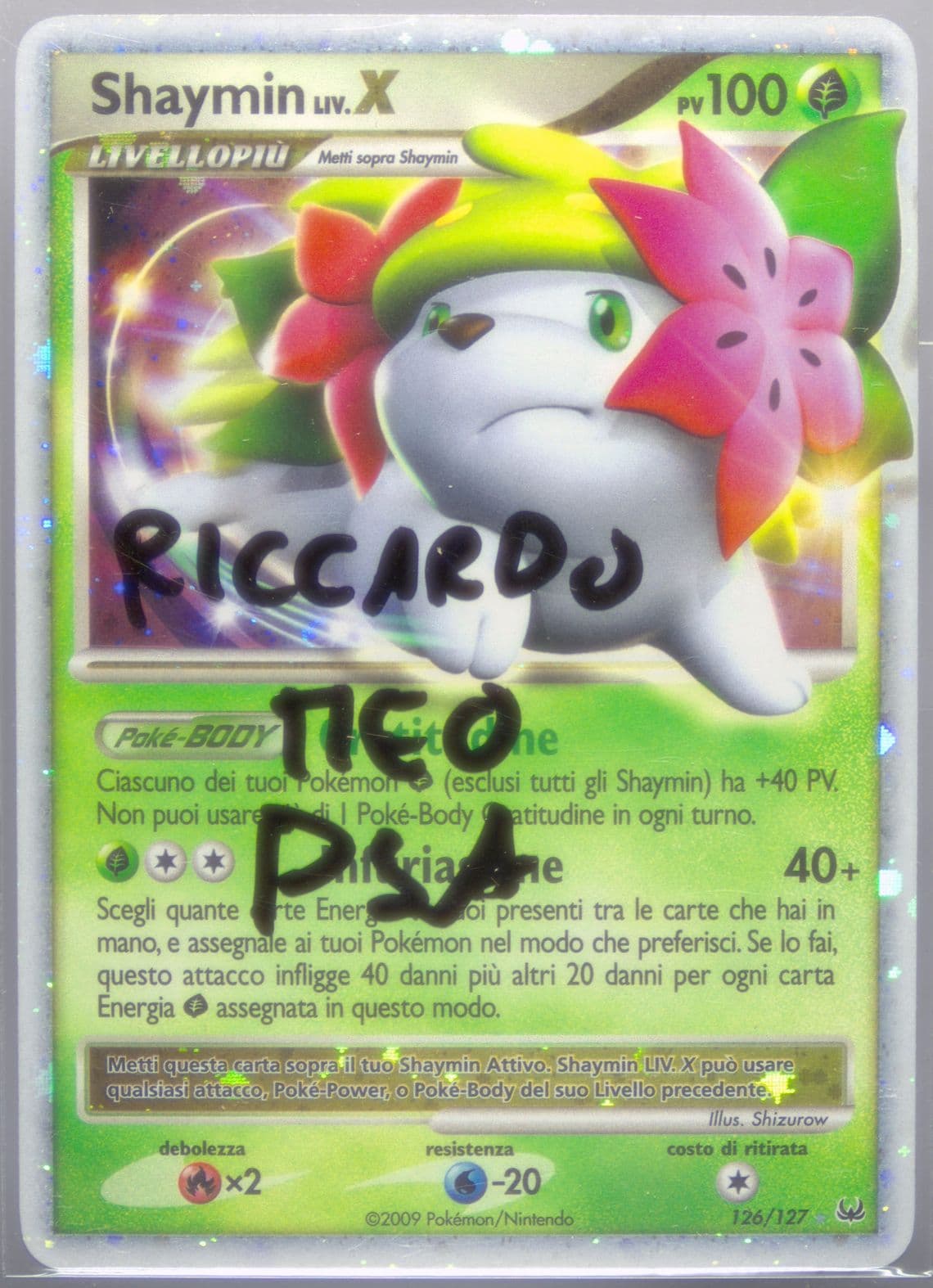 Shaymin LIV.X-Holo Italian (126) 2009 Pokemon Platinum