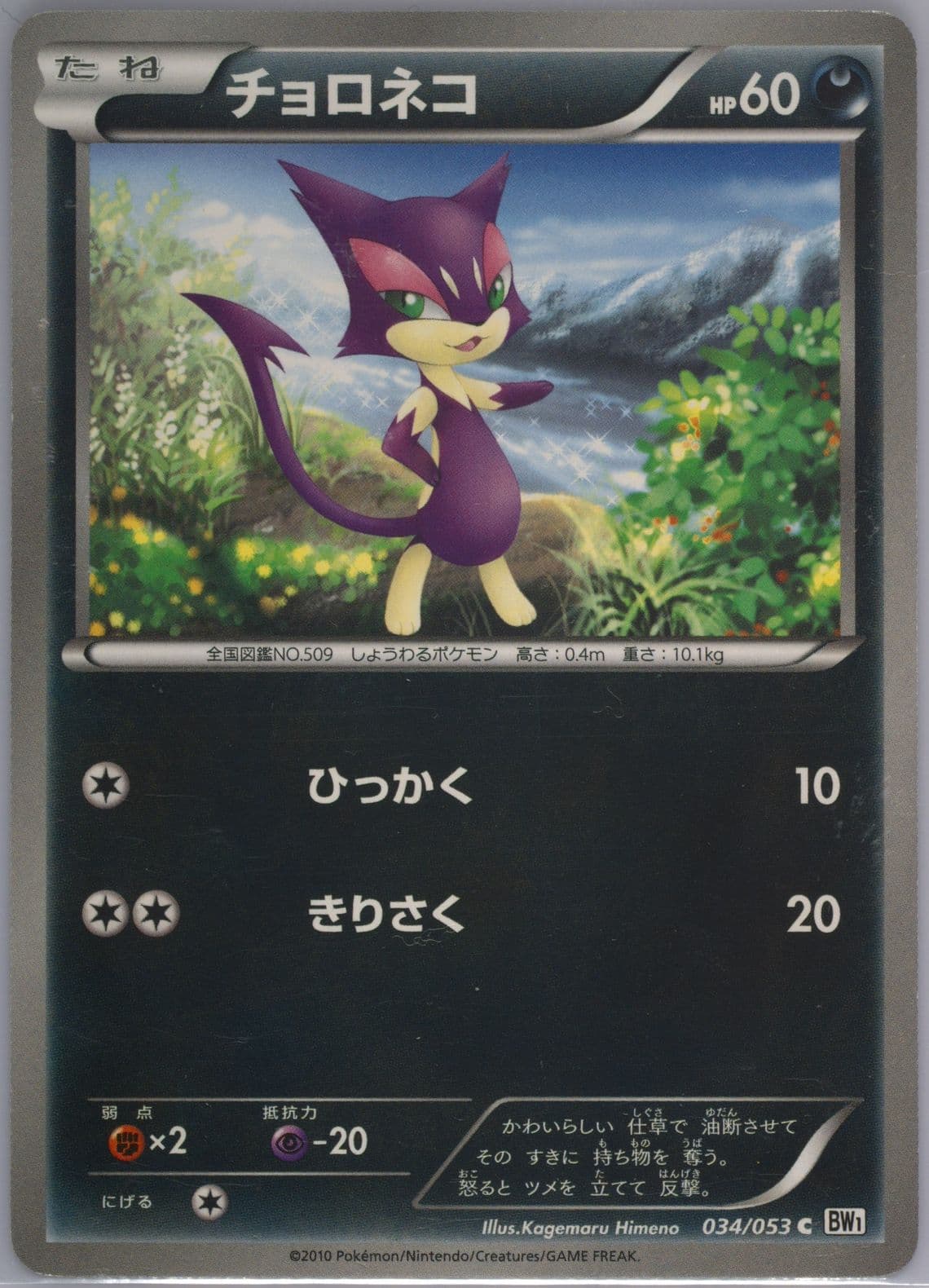 Purrloin White Collection (034) 2010 Pokemon Japanese Black & White