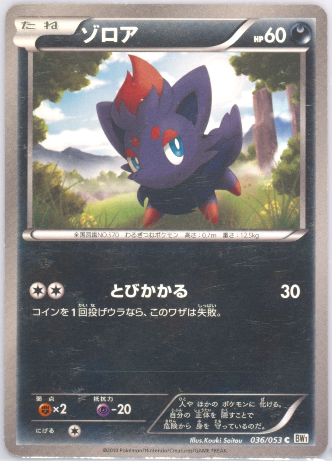 Zorua White Collection (036) 2010 Pokemon Japanese Black & White
