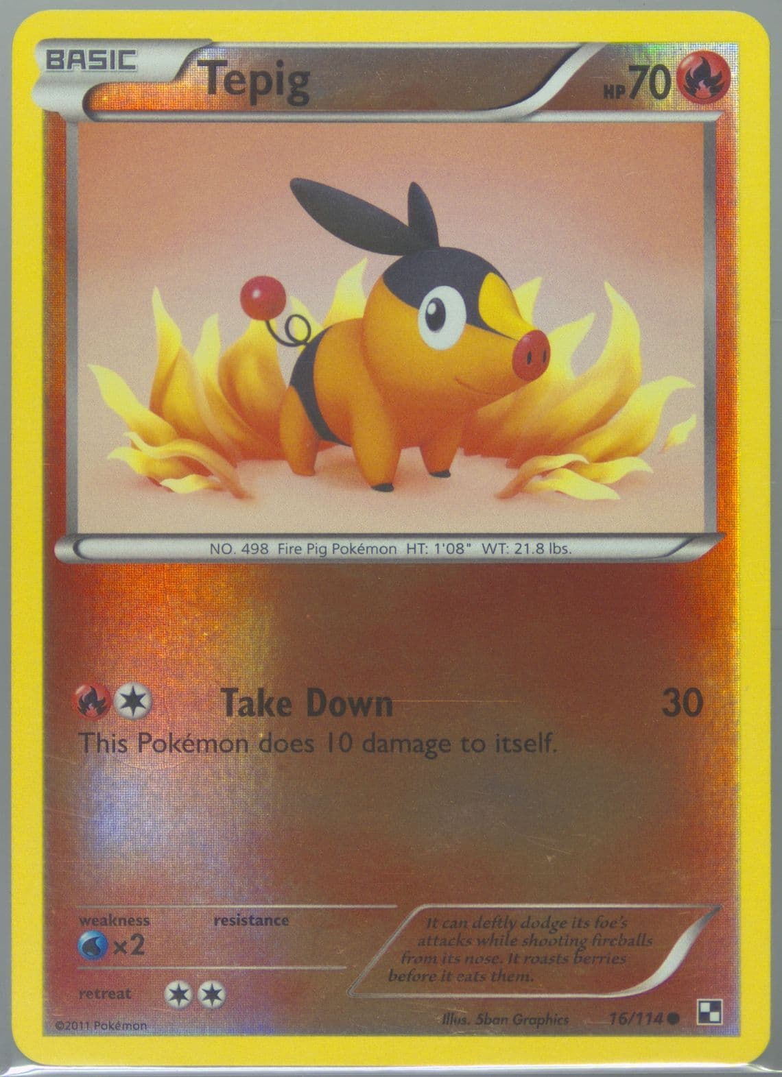 Tepig-Reverse Foil (16) 2011 Pokemon Black & White