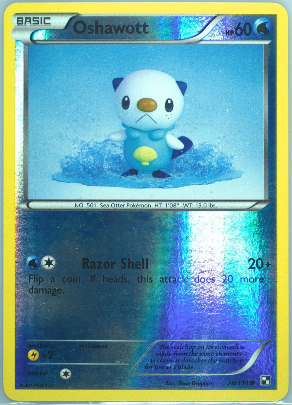 Oshawott-Reverse Foil (28) 2011 Pokemon Black & White