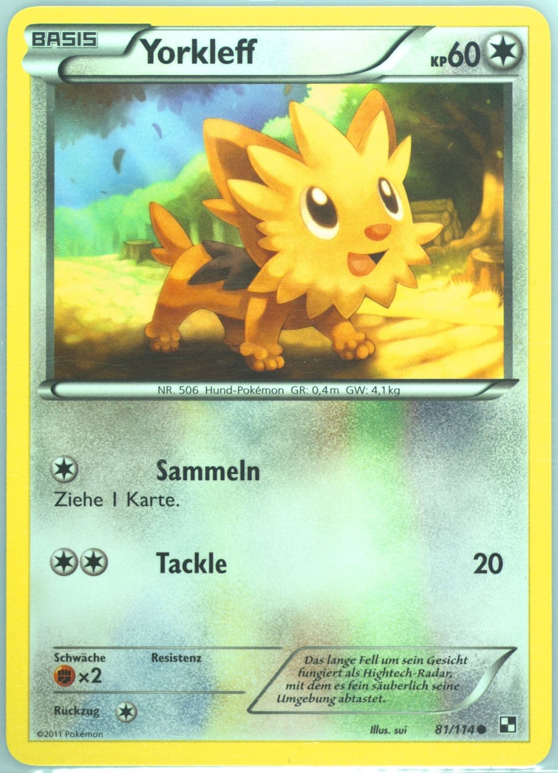 Yorkleff German (81) 2011 Pokemon Black & White