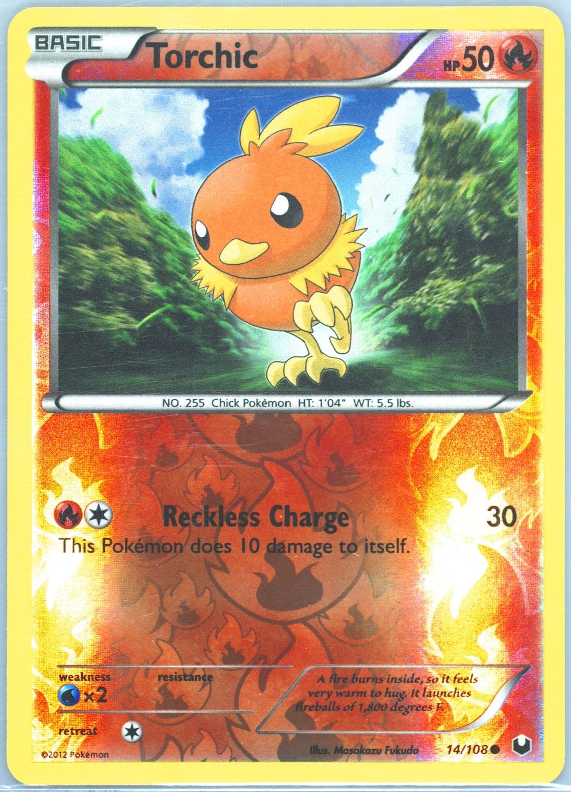 Torchic-Reverse Foil (14) 2012 Pokemon Black & White Dark Explorers