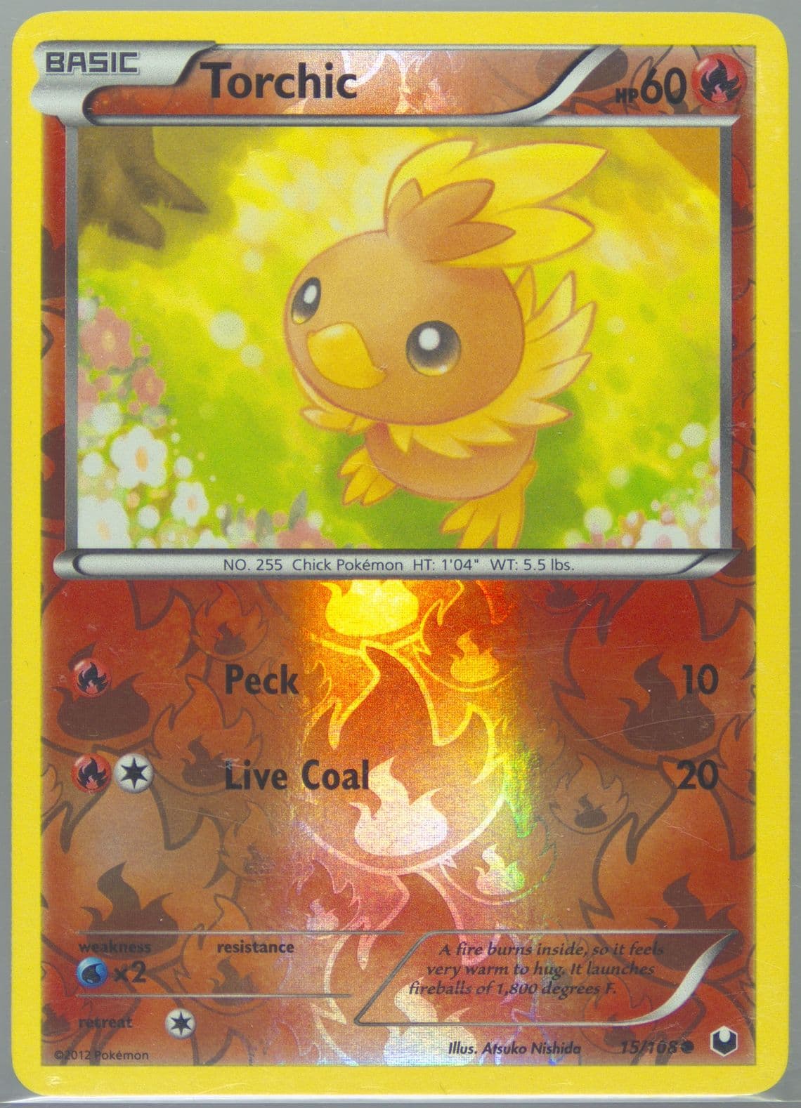 Torchic-Reverse Foil (15) 2012 Pokemon Black & White Dark Explorers