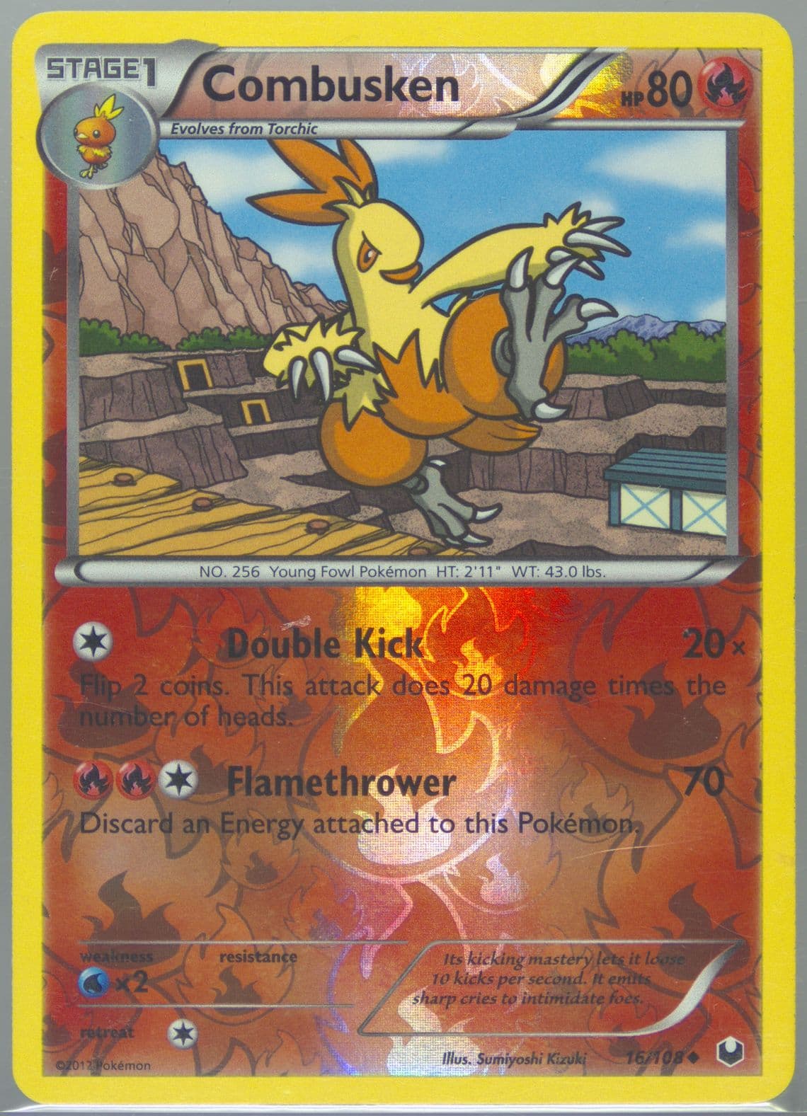 Combusken-Reverse Foil (16) 2012 Pokemon Black & White Dark Explorers