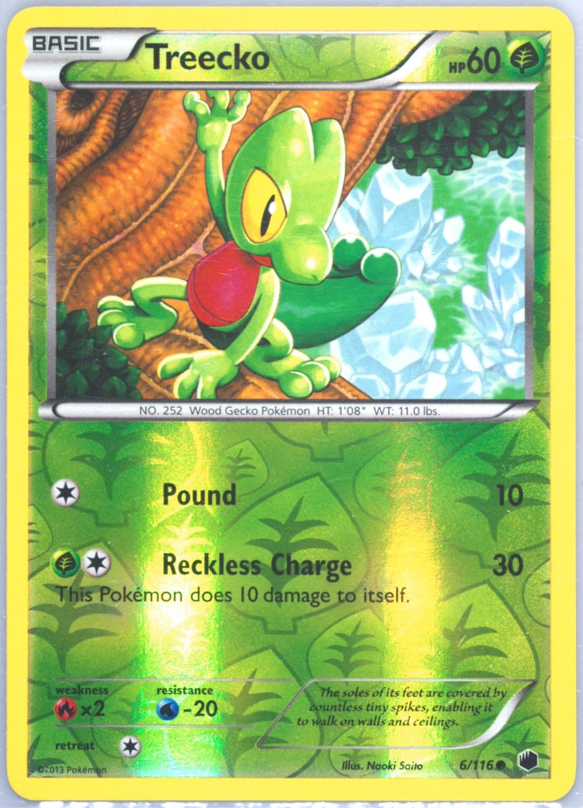 Treecko-Reverse Foil (6) 2013 Pokemon Black & White Plasma Freeze