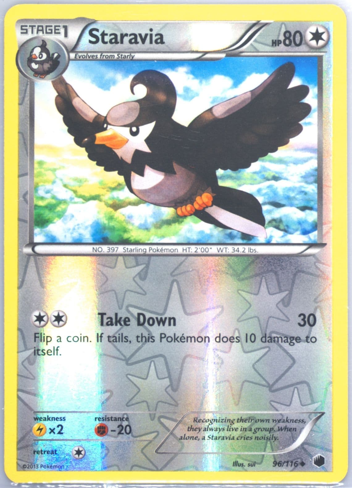 Staravia-Reverse Foil (96) 2013 Pokemon Black & White Plasma Freeze