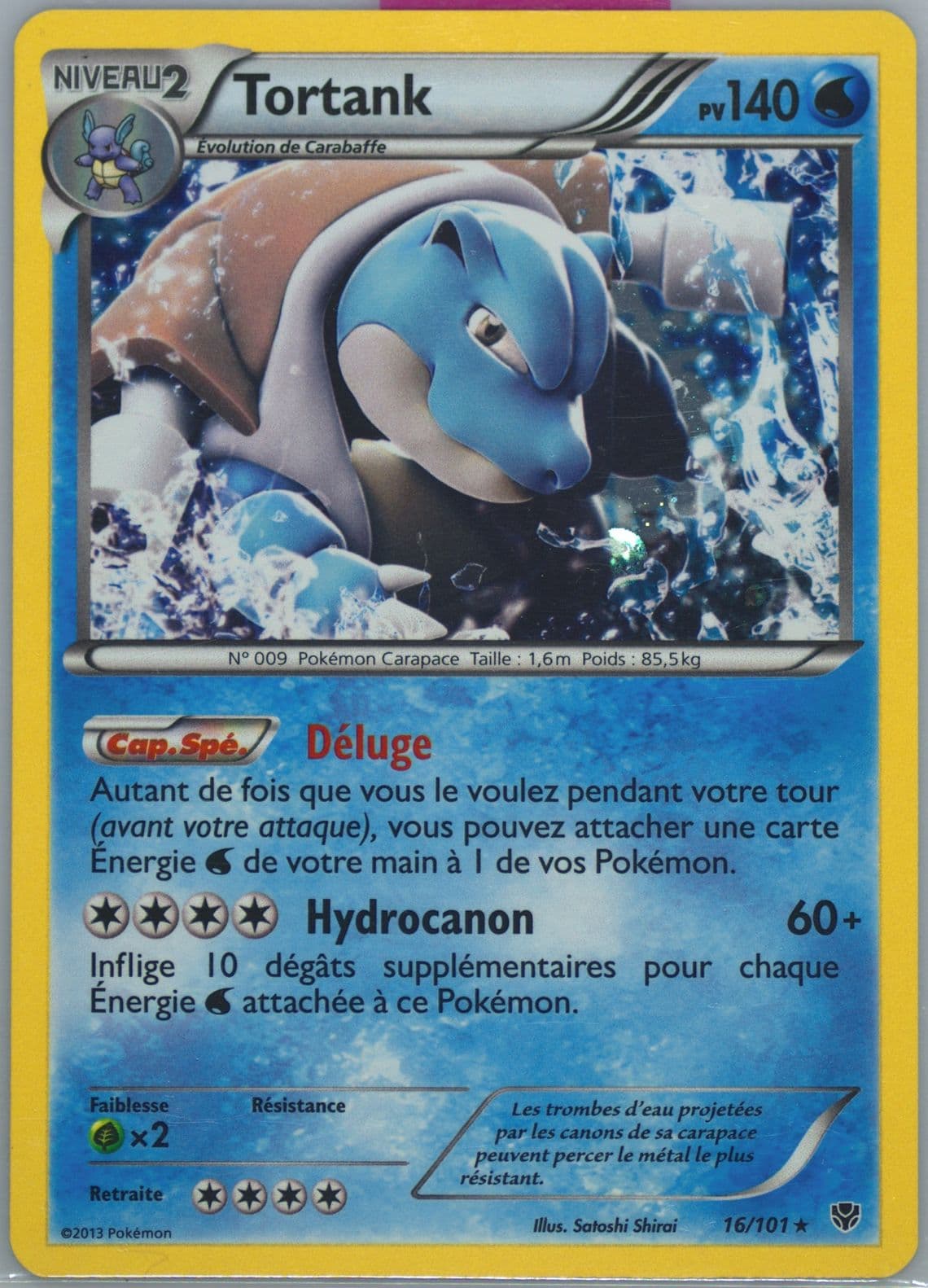 Tortank-Holo French (16) 2013 Pokemon Black & White Plasma Blast