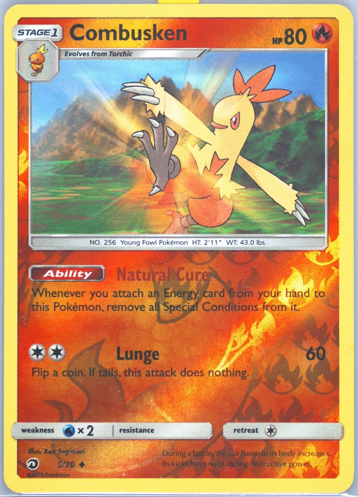 Combusken-Reverse Foil (5) 2018 Pokemon Sun & Moon Dragon Majesty
