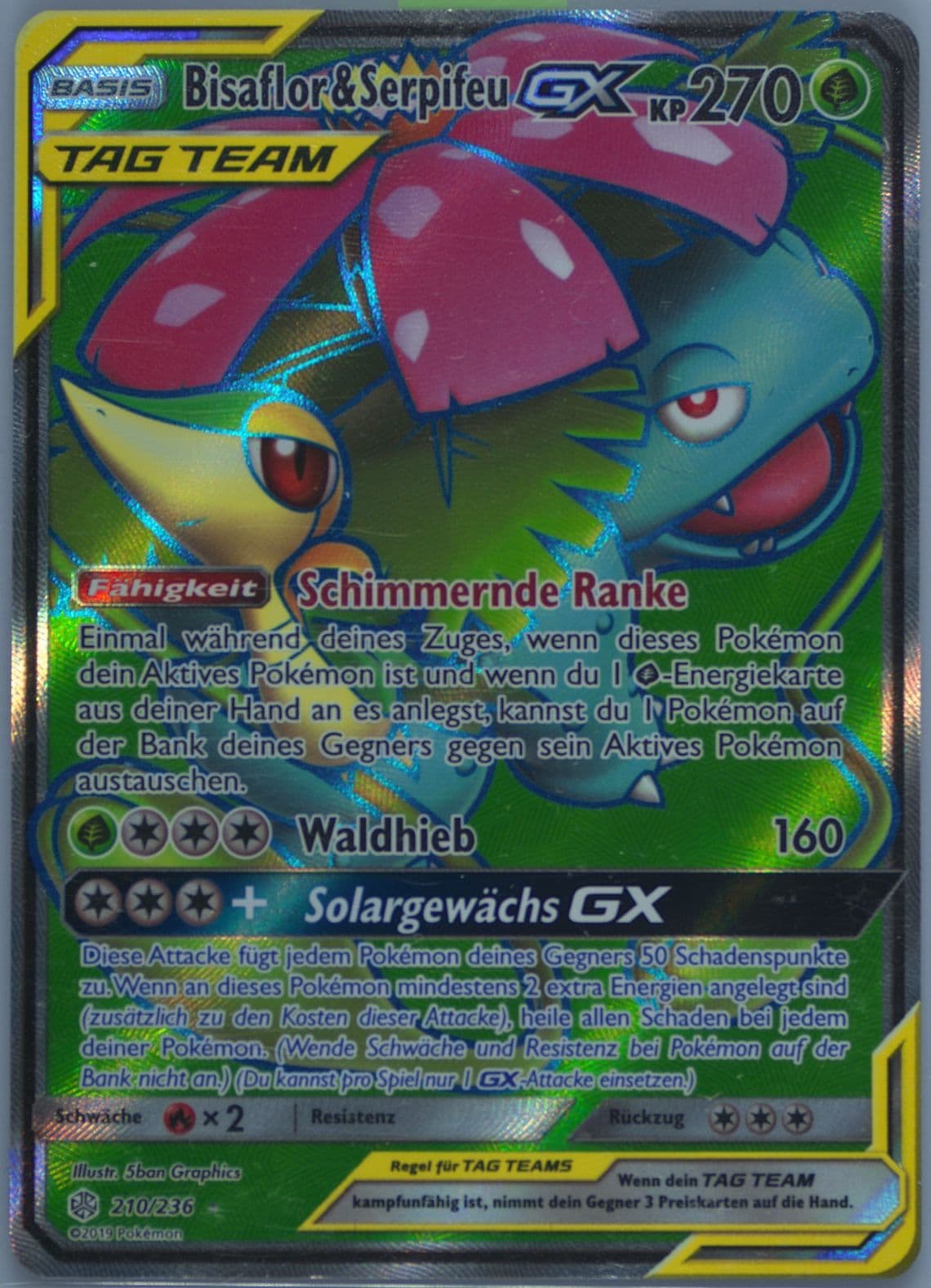Full Art/Bisaflor & Serpifeu GX German (210) 2019 Pokemon Sun & Moon Cosmic Eclipse