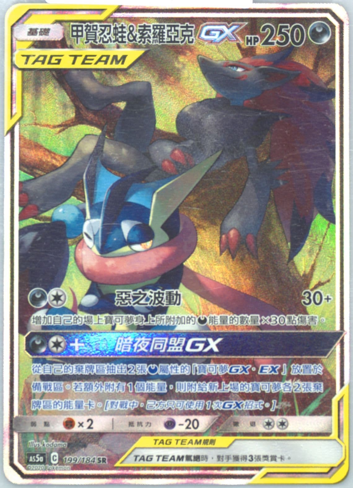 Full Art/Greninja & Zoroark GX Set A (199) 2020 Pokemon Chinese Sun & Moon Double Burst