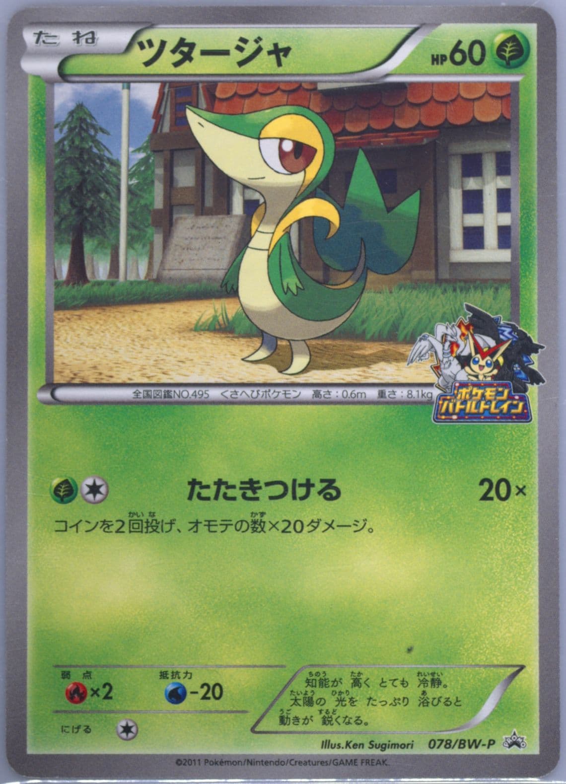 Snivy Jr Hokkaido Pokemon Battle Train (78) 2011 Pokemon Japanese Black & White Promo