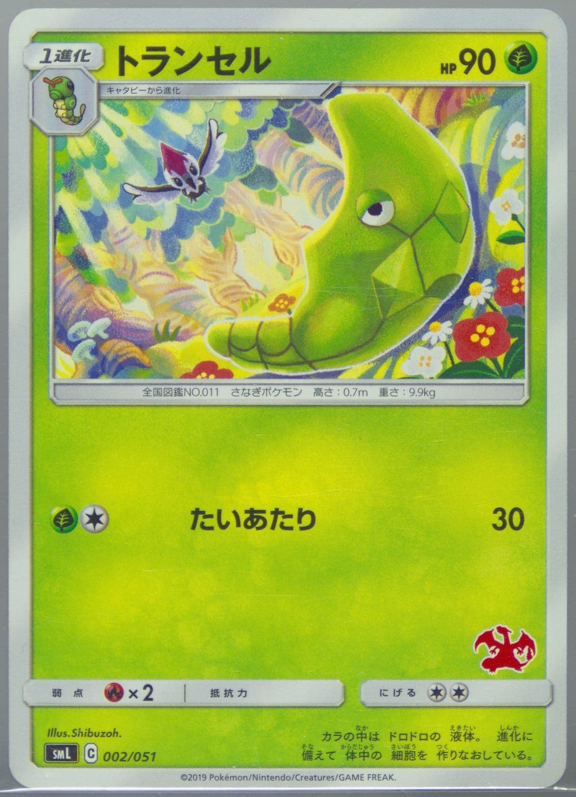 Metapod (2) 2019 Pokemon Japanese Family Pokemon Card Game