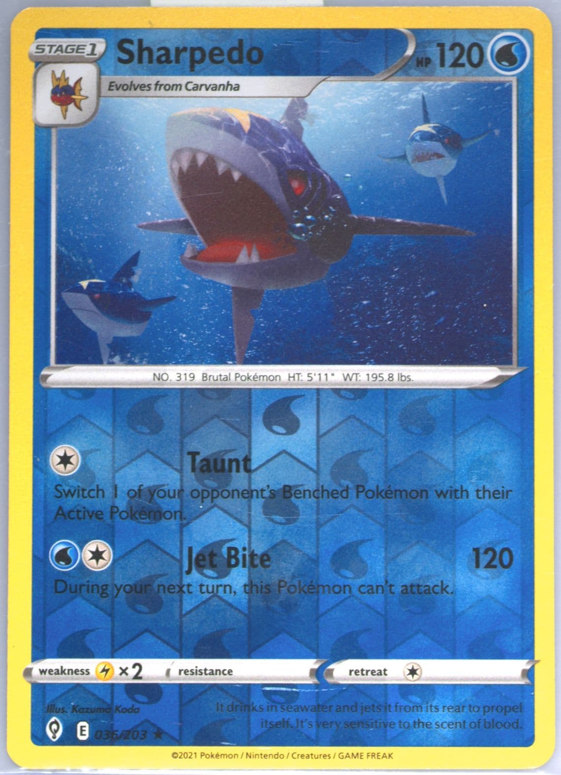 Sharpedo-Reverse Foil (036) 2021 Pokemon Sword & Shield Evolving Skies