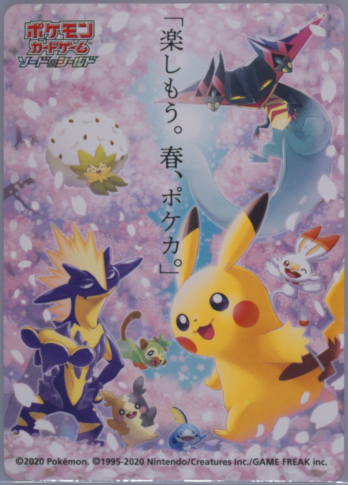 Let's Have Fun! Spring, Pokeka Sticker 2020 Pokemon Japanese S Promo