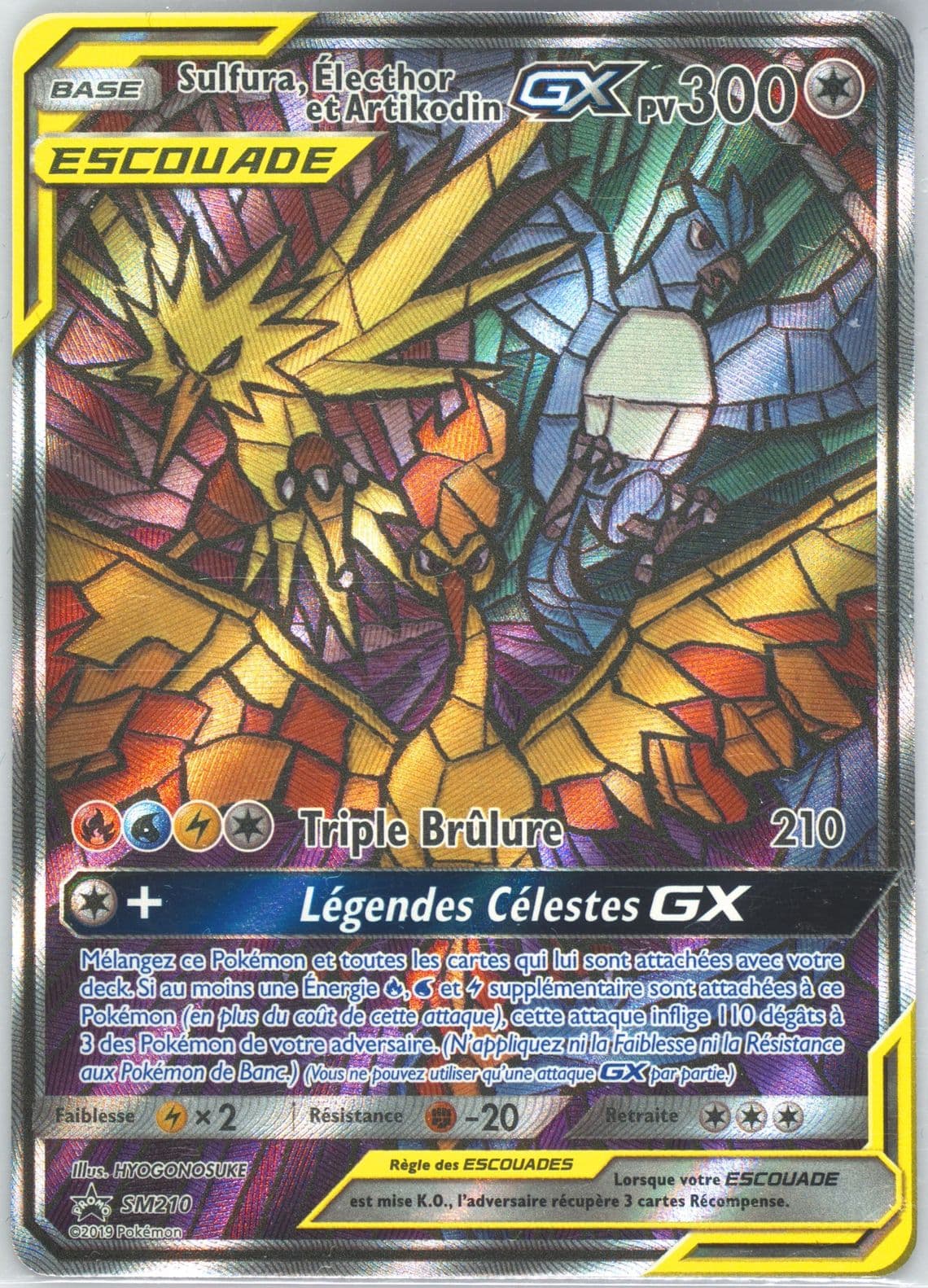 Full Art/Sulfura, Electhor ET Artikodin GX Hidden Fates Elite Trainer Box-French (SM210) 2019 Pokemon SM Black Star Promo