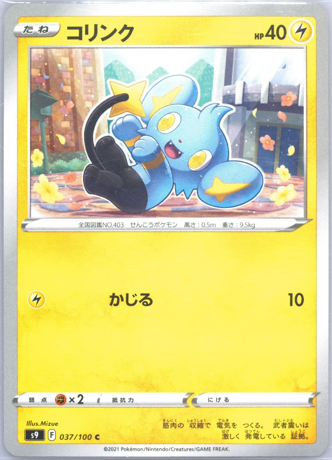 Shinx (037) 2022 Pokemon Japanese Sword & Shield Star Birth