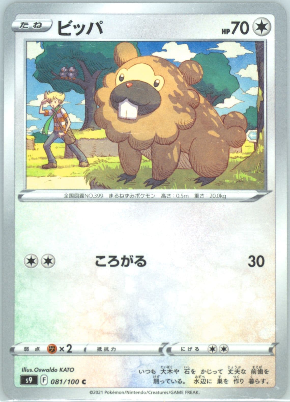 Bidoof (081) 2022 Pokemon Japanese Sword & Shield Star Birth