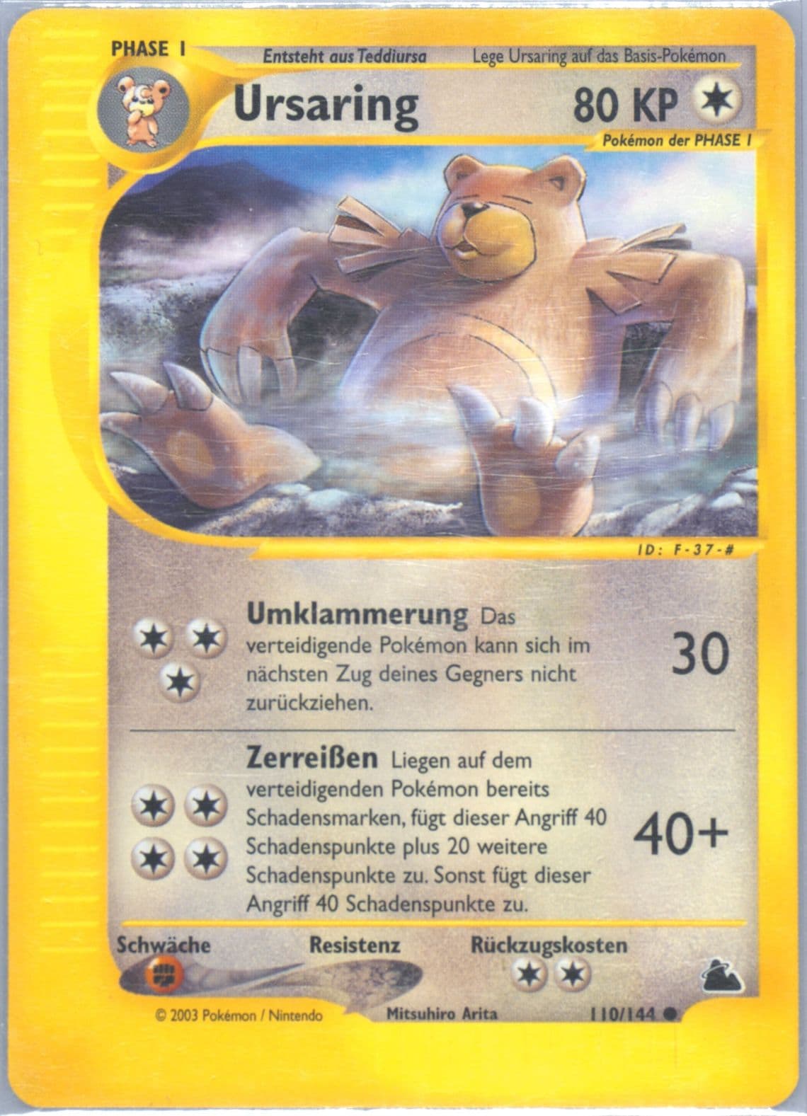 Ursaring German (110) 2003 Pokemon Skyridge