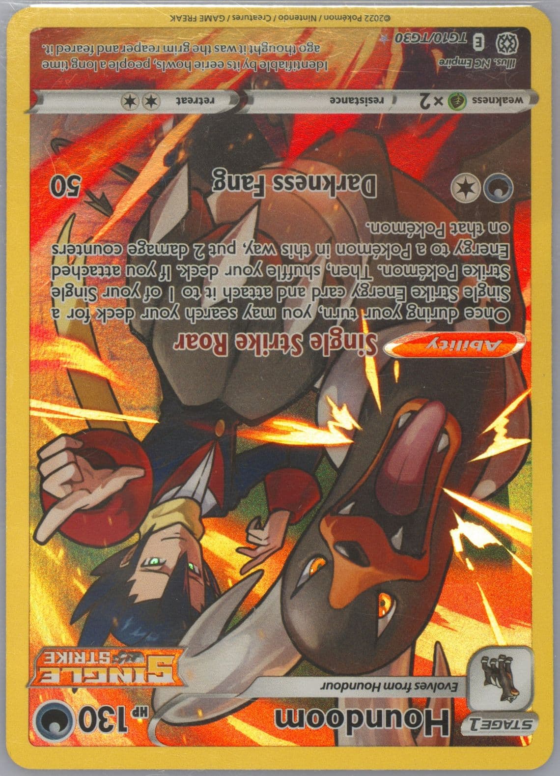 Full Art/Houndoom (TG10) 2022 Pokemon Sword & Shield Brilliant Stars