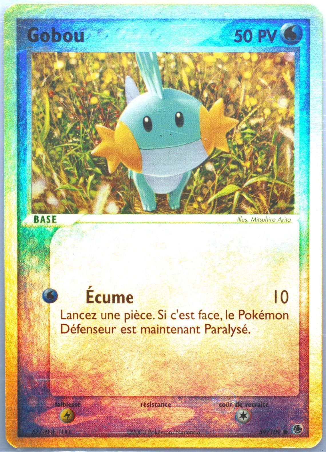 Gobou-Reverse Foil French (59) 2003 Pokemon EX Ruby & Sapphire