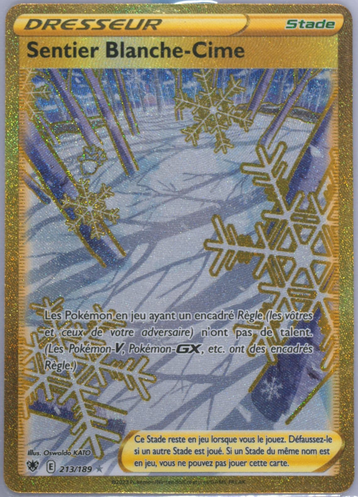 Sentier Blanche-Cime French-Secret (213) 2022 Pokemon Sword & Shield Astral Radiance