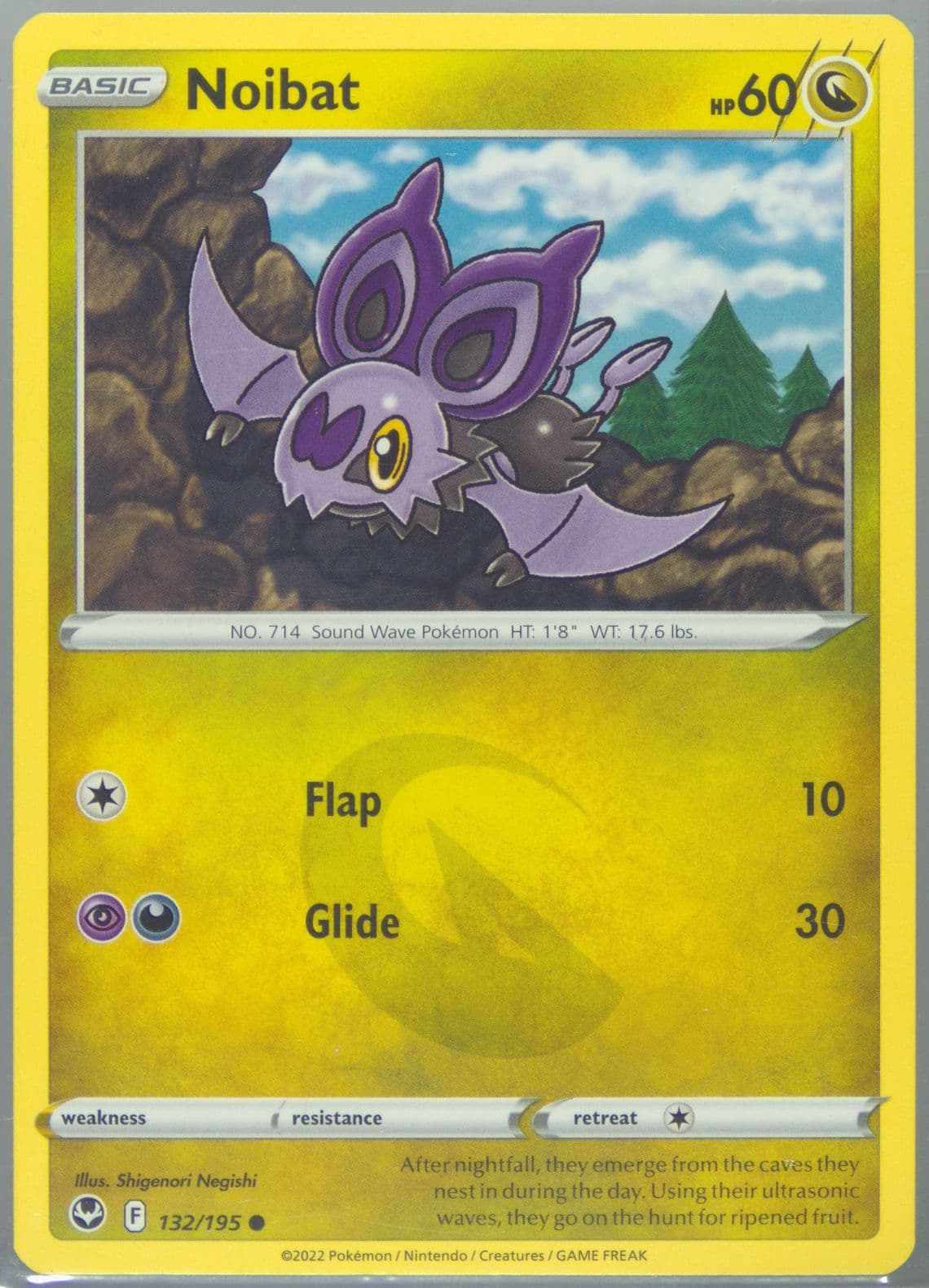 Noibat (132) 2022 Pokemon Sword & Shield Silver Tempest