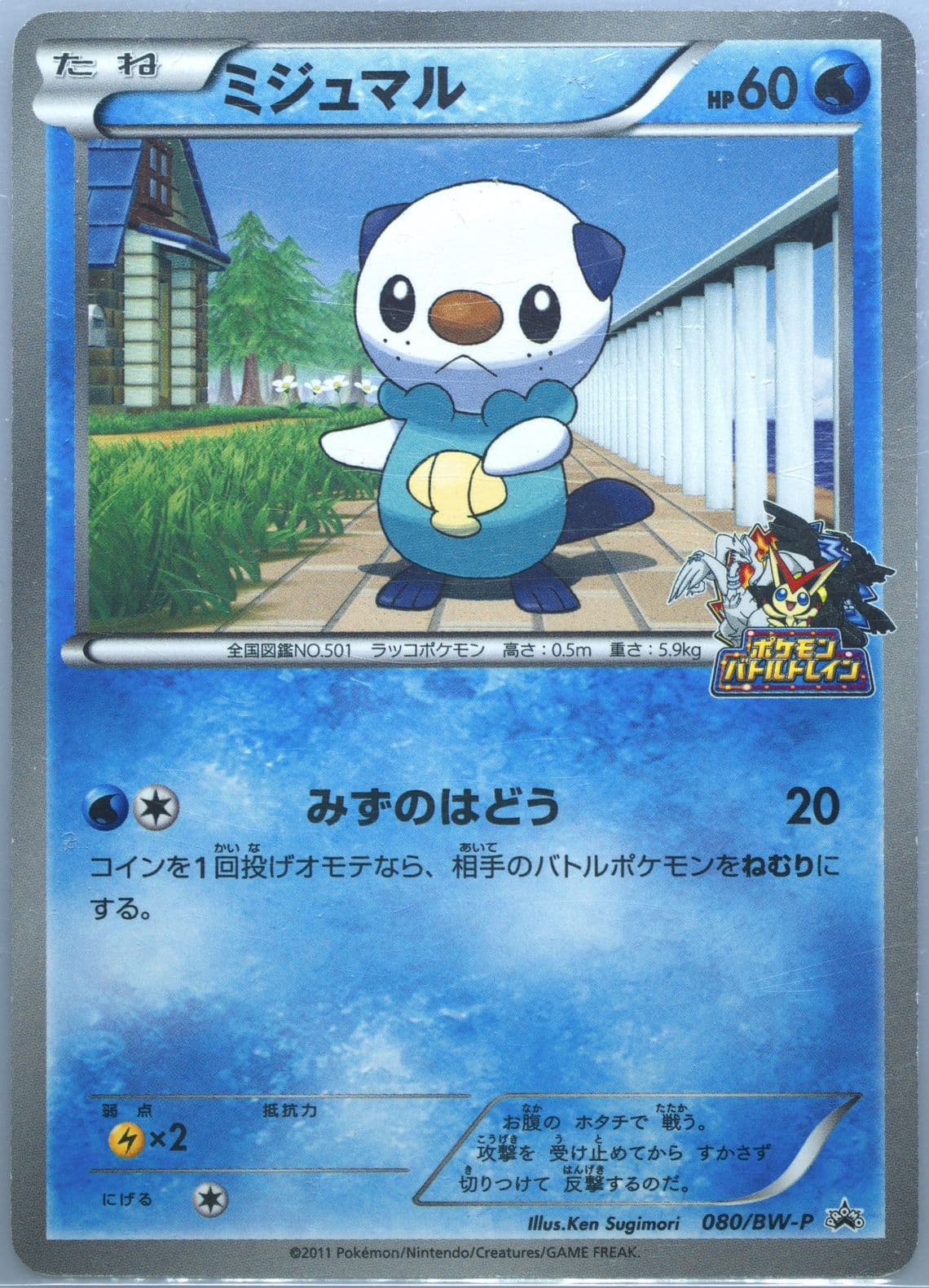 Oshawott Jr Hokkaido Pokemon Battle Train (80) 2011 Pokemon Japanese Black & White Promo