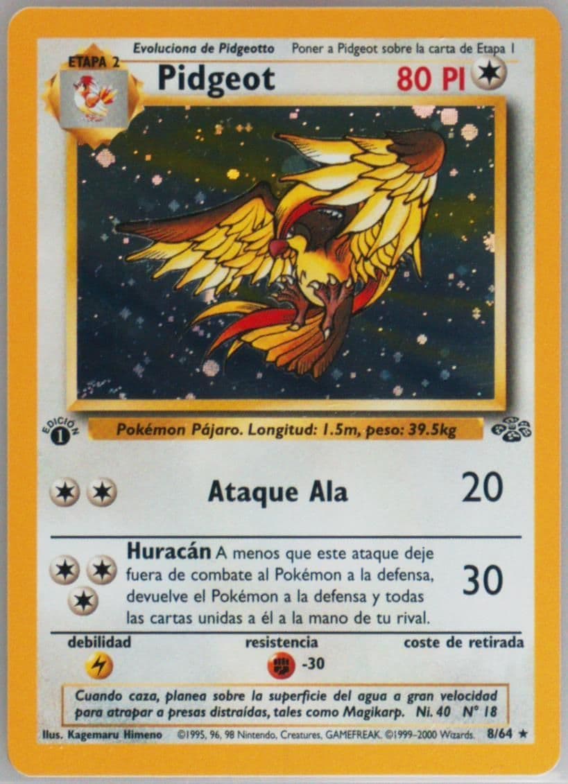 Pidgeot-Holo 1st Edition (8) 2000 Pokemon Spanish Jungle