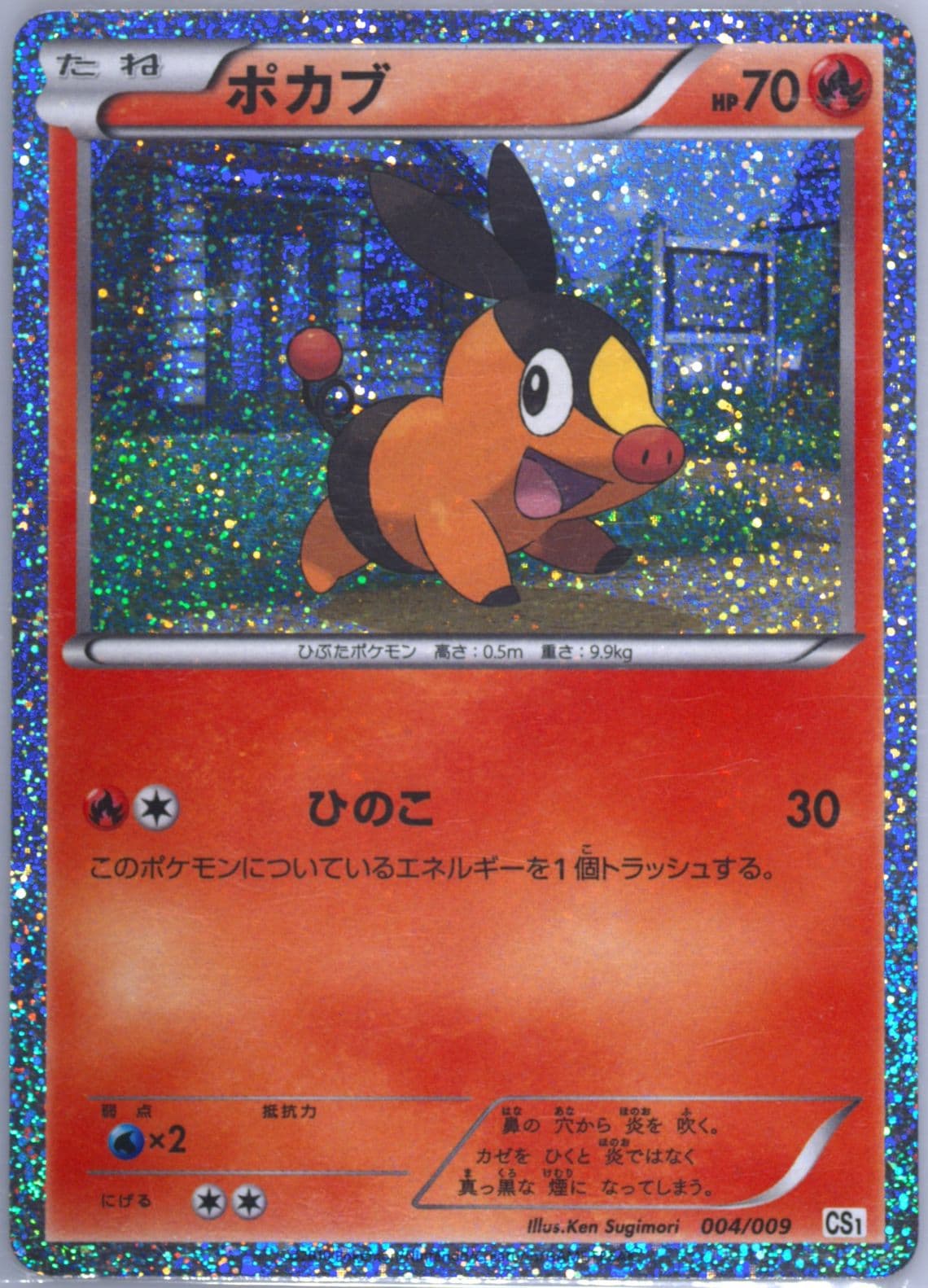 Tepig-Holo Tepig Collection Sheet (004) 2010 Pokemon Japanese Journey Partners Collection Sheets