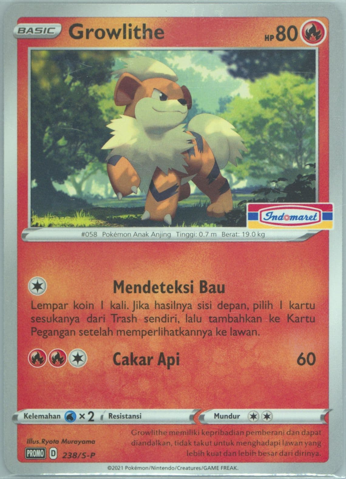 Growlithe Indomaret Campaign (238) 2021 Pokemon Indonesian S Promo
