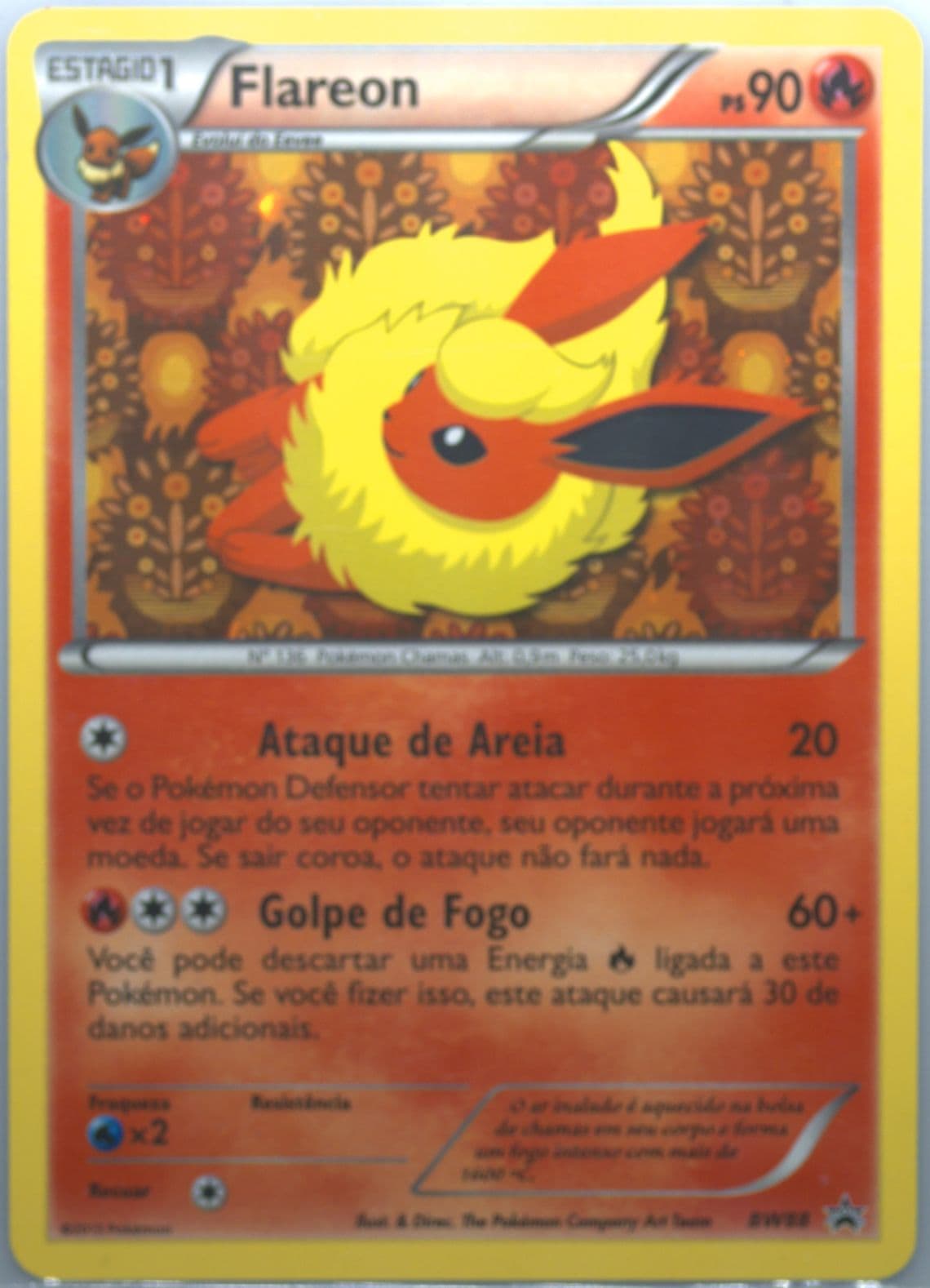 Flareon-Holo Sylveon Collection-Portuguese (BW88) 2014 Pokemon Black & White Promo