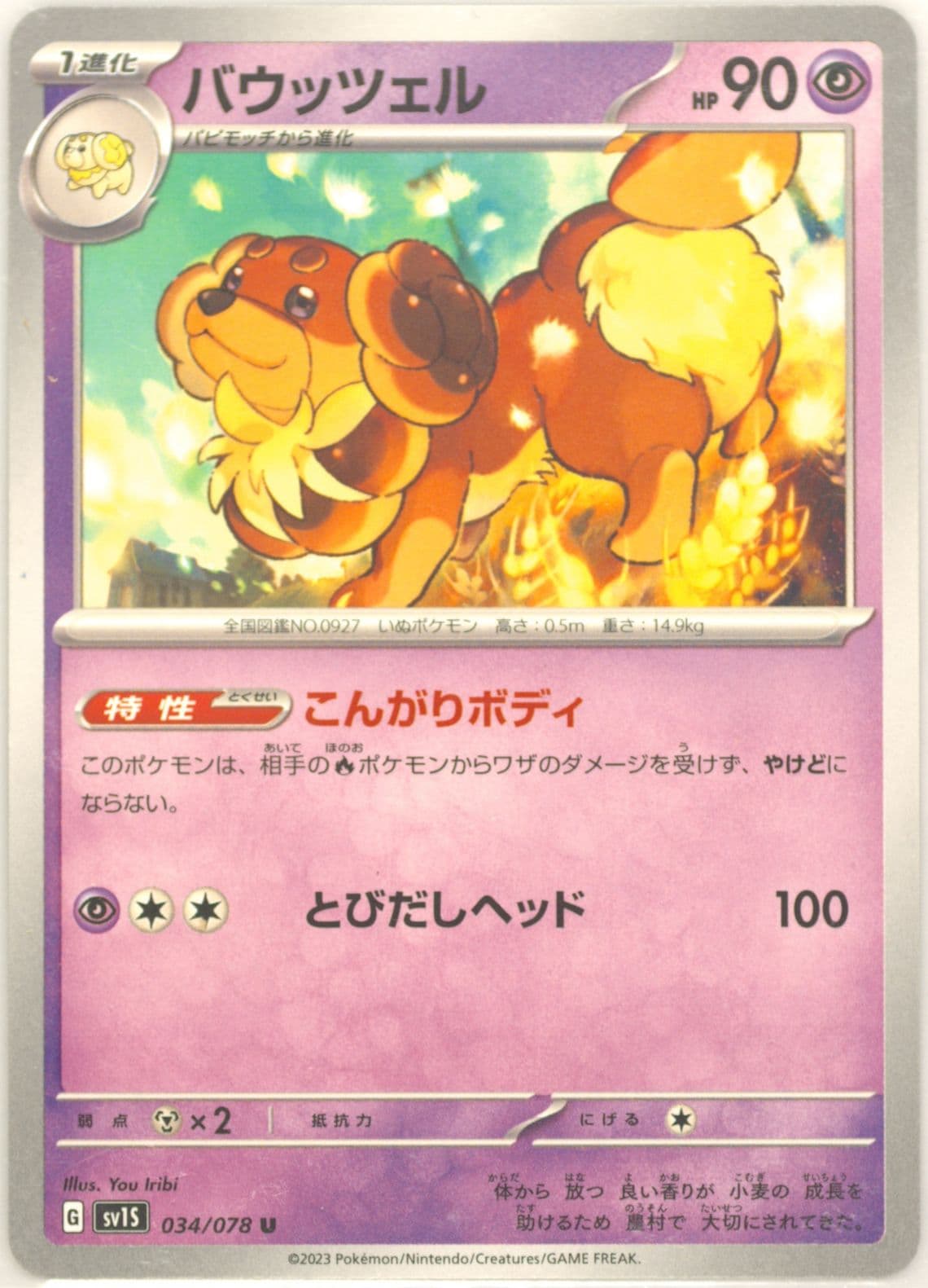 Dachsbun (034) 2023 Pokemon Japanese Sv1s-Scarlet EX