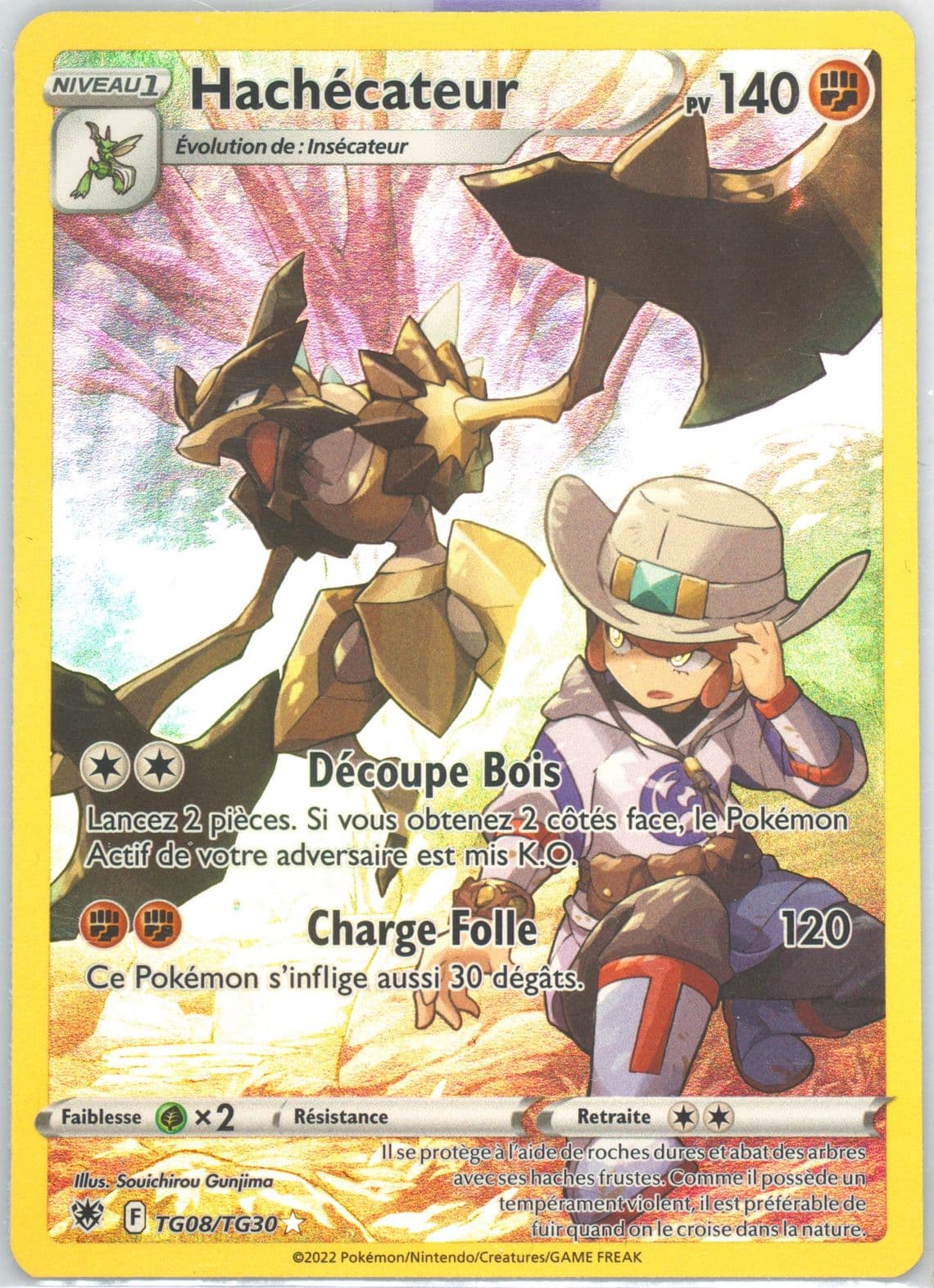Full Art/Hachecateur French (TG08) 2022 Pokemon Sword & Shield Astral Radiance