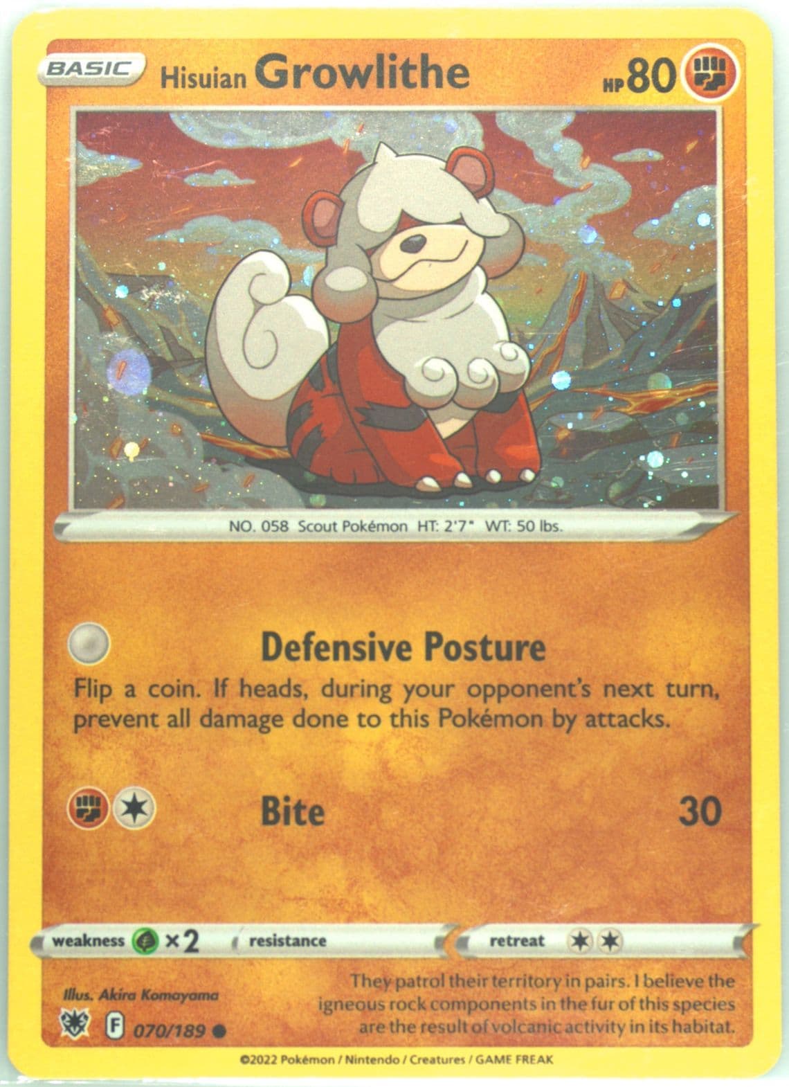 Hisuian Growlithe-Holo (070) 2022 Pokemon Fall Collector Chest