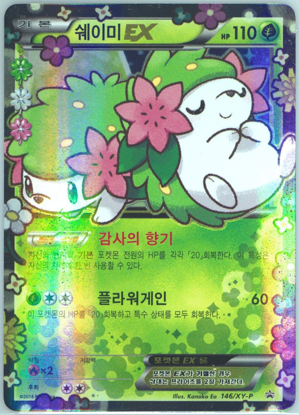 Shaymin EX XY Pokekyun Collection-Pokemon Center Buy A Box (146) 2016 Pokemon Korean XY Promo