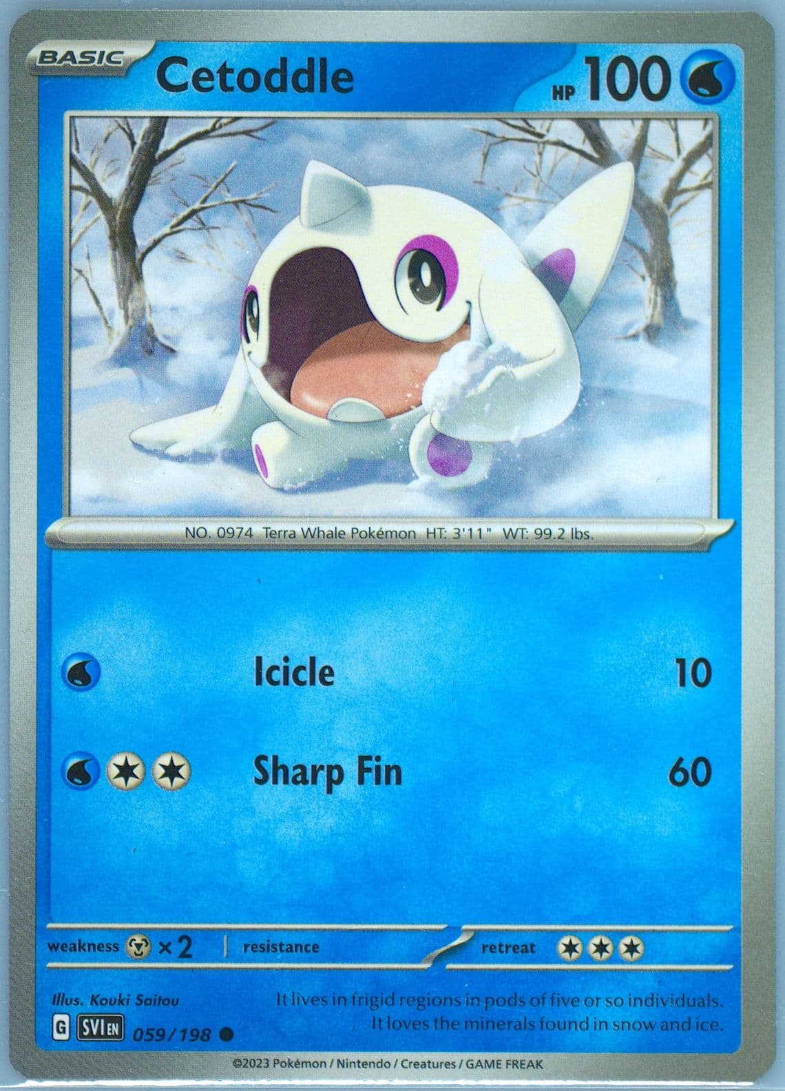 Cetoddle (059) 2023 Pokemon Svi EN-Scarlet & Violet