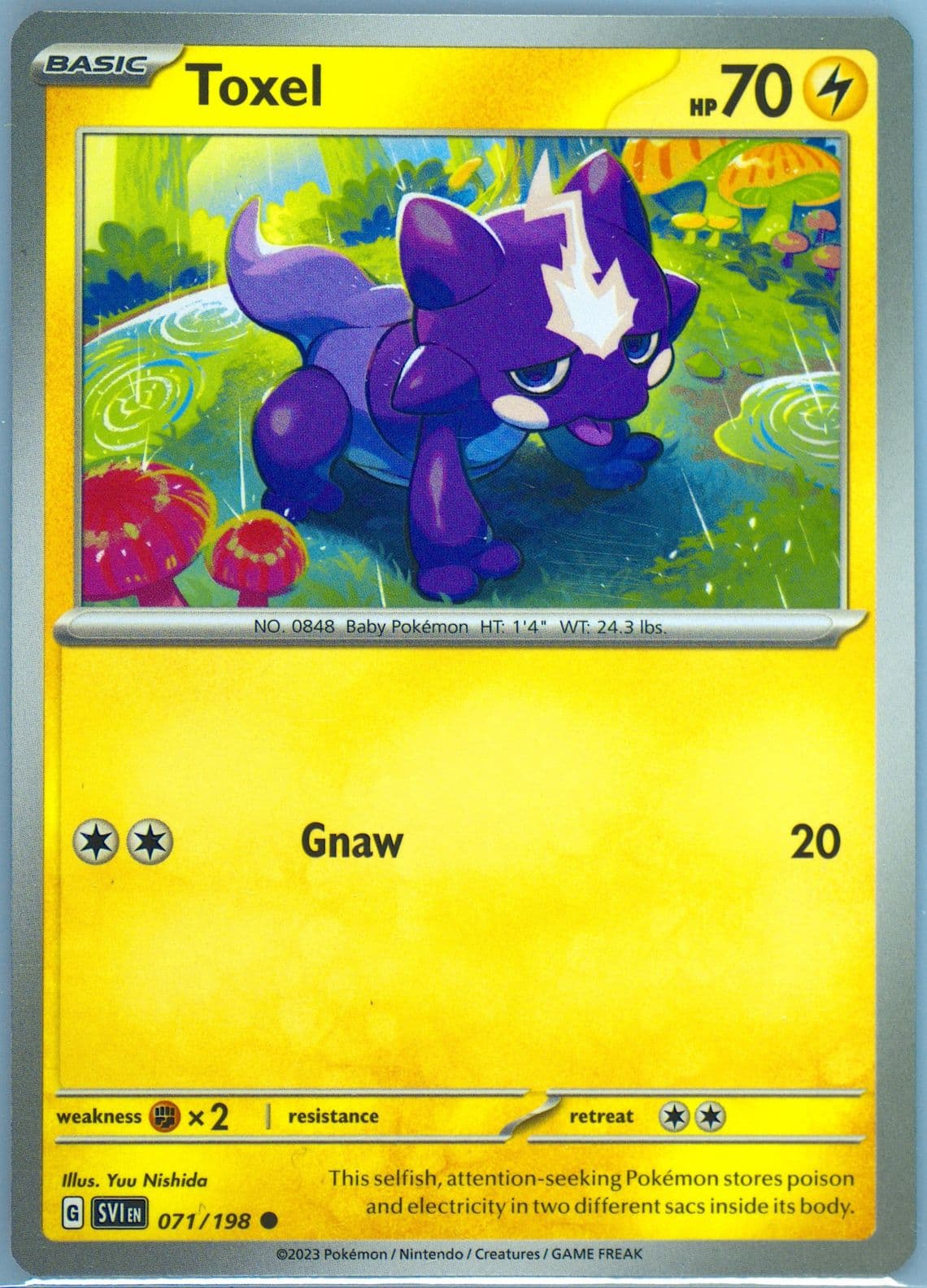 Toxel (071) 2023 Pokemon Svi EN-Scarlet & Violet