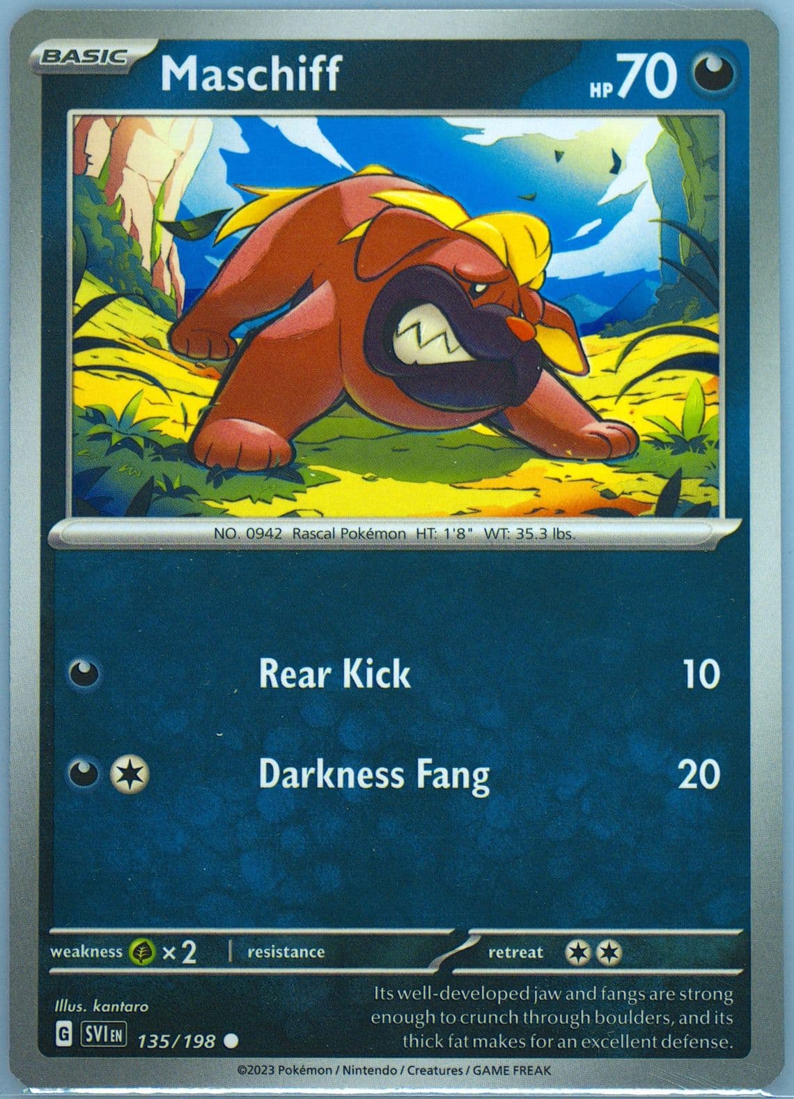 Maschiff (135) 2023 Pokemon Svi EN-Scarlet & Violet