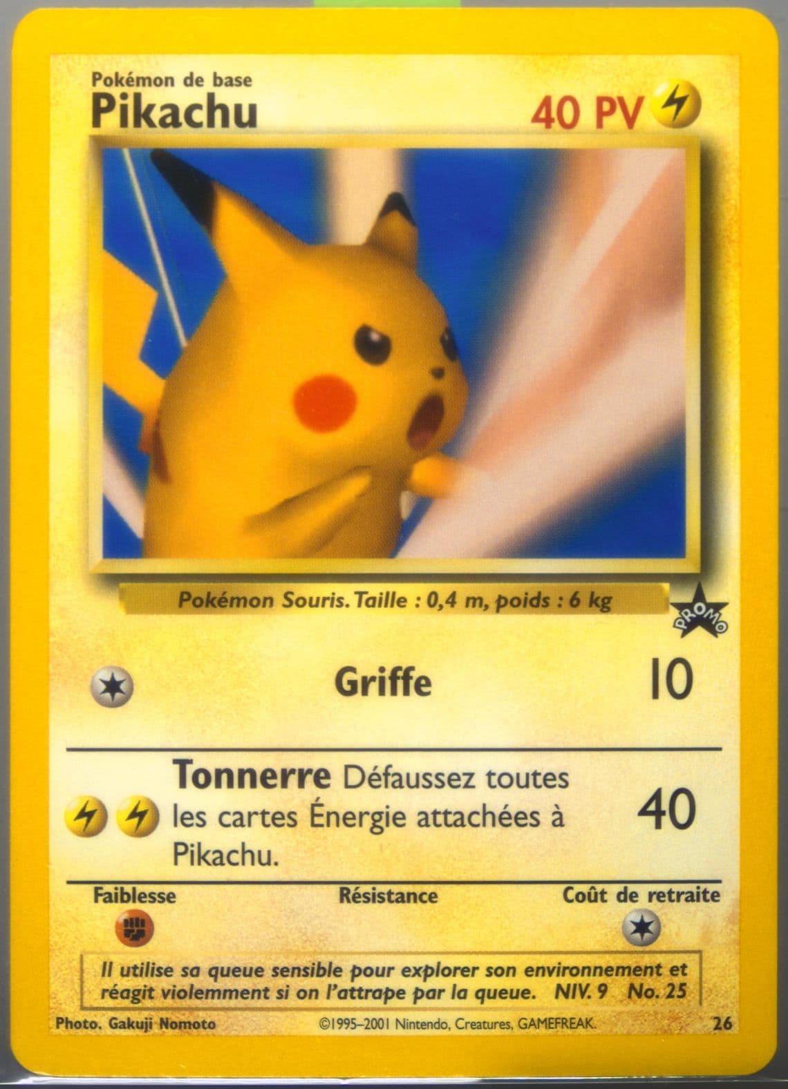 Pikachu Pokemon League-French (26) 2001 Pokemon Promo Black Star