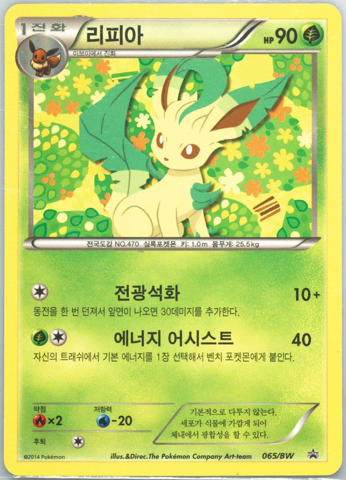 Leafeon Eevee 2080 Toothbrush Set (065) 2014 Pokemon Korean BW Promo